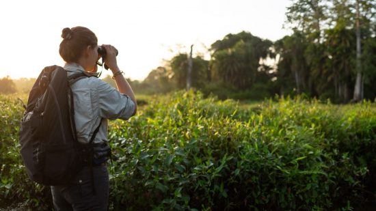 Guide avec des jumelles dans les vertes plaines d'Odzala au Congo.