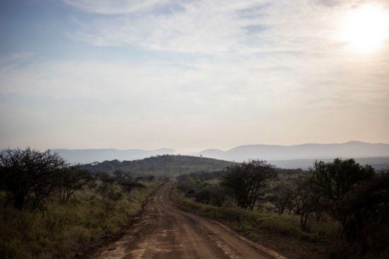 Ein Weg führt durch die hügelige Buschlandschaft von KwaZulu-Natal