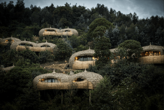 Voyage au Rwanda | Bisate Lodge