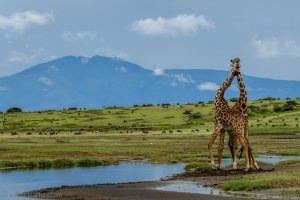 Africa off the Beaten Track