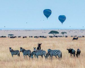 Voyage au Kenya : survolez zèbres et buffles en montgolfière