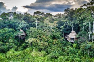 Afrique de l'Ouest | Vue aérienne du Ngaga camp à Odzala