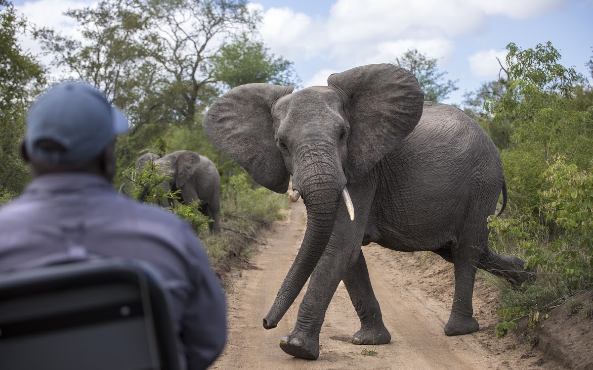 Que faire en Afrique du Sud : nos 7 incontournables en photos