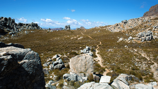 Cederberg | Maltese Cross