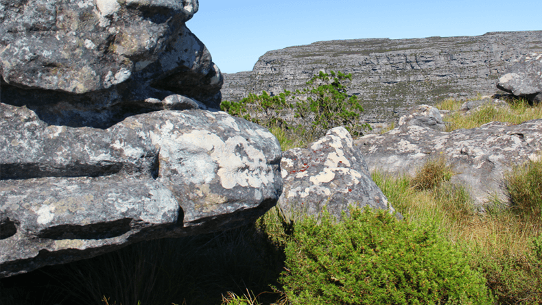 Table Mountain vista de forma não convencional, a partir do topo da Devil's Peak