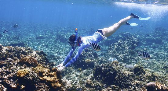 Snorkelling em Seicheles é uma experiência fantástica