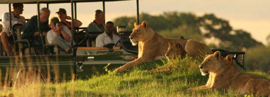 A responsible tourism brand that partners with local communities, Wilderness Safaris is has been operating since the 1980s