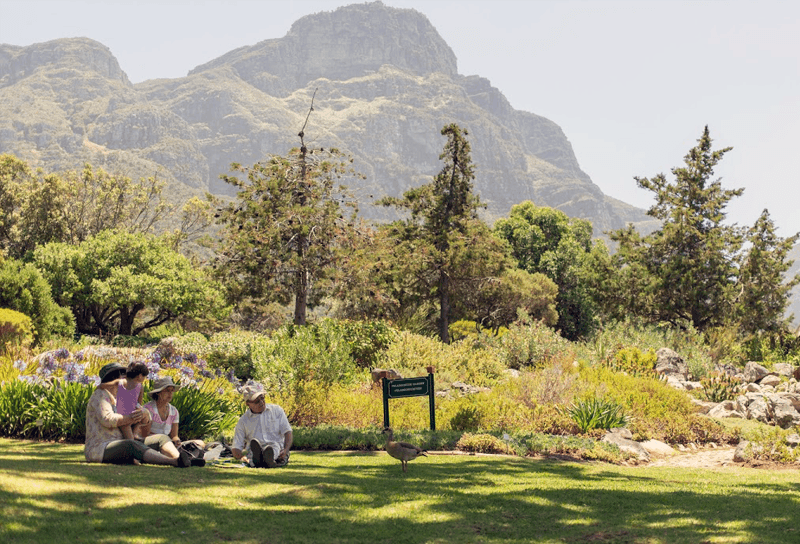 Que tal um piquenique com a família no Kirstenbosch National Botanical Garden?