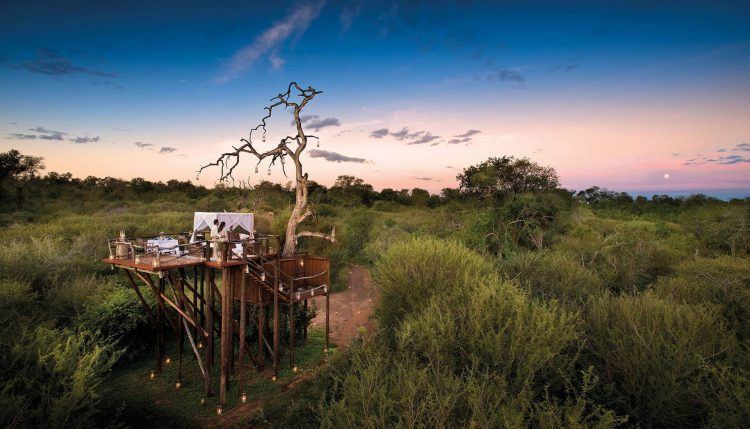 Lion Sands' tree house in the Kruger National Park