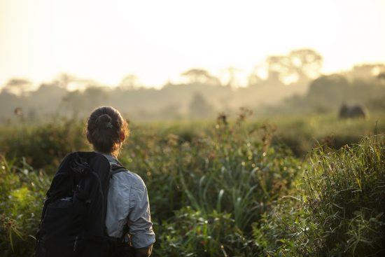 Frau mit Rucksack spaziert durch das dichtbewachsene Kongobecken