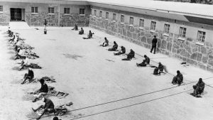 Visiter Robben Island, l'île pénitentiaire où étaient enfermés les opposants politiques d'Afrique du Sud. 