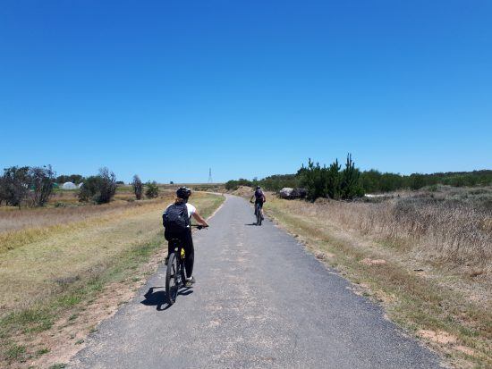 Bicis y viñedos, un combo perfecto. 