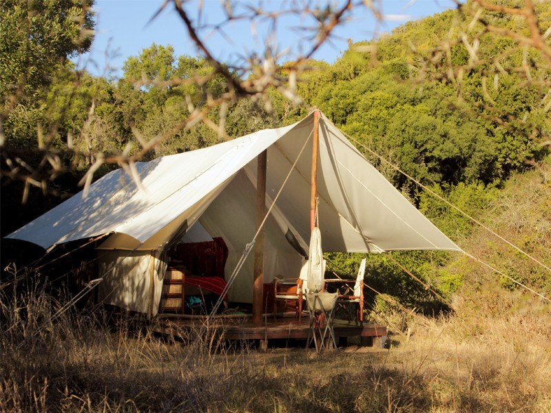 Nuit insolite lors d'un safari sur la Garden Route en Afrique du Sud : tentes luxueuses et safari.