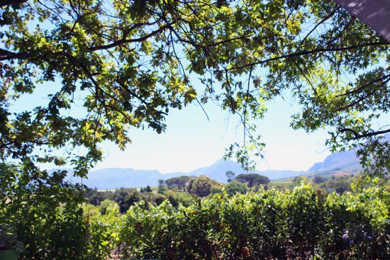 Vista de Ken Forrester a partir da varanda de degustação de vinhos