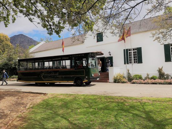 Le wine tram au Cap