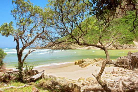 Traumhafter Strand und türkisblaues Wasser im Tsitsikamma Nationalpark an der Garden Route