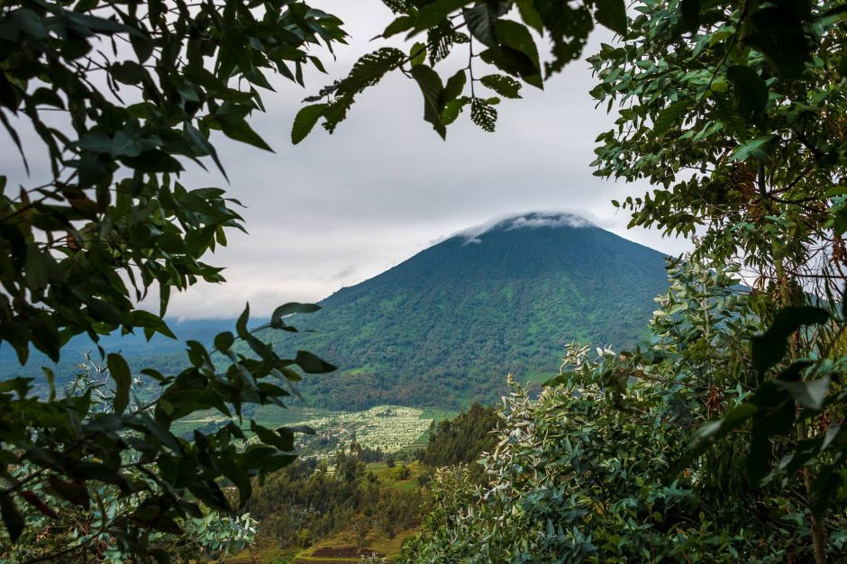 Volcano in Volcanoes National Park, Rwanda 