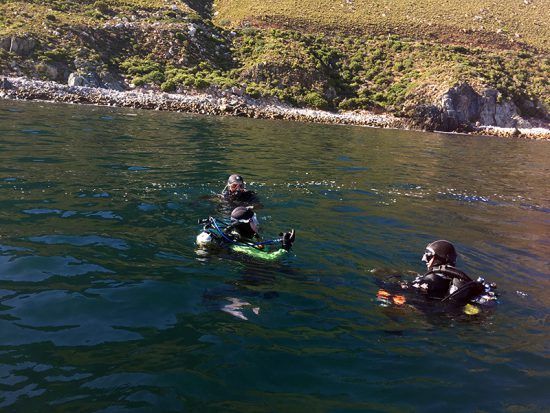 Expedição de mergulho nos arredores de Gordon's Bay promovida pela Indigo Scuba