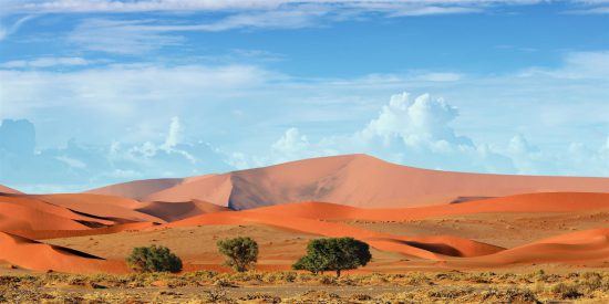 Afrika-Urlaub in Namibia