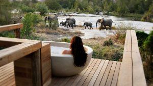 Vacances romantiques à Sabi Sand en Afrique du Sud pour un voyage safari de luxe. 