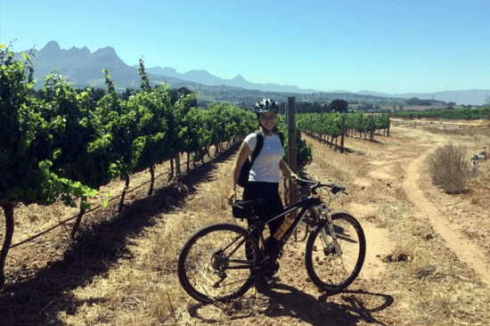 Passeio de bicicleta por vinícolas sul-africanas promovido por Rent a Bicycle