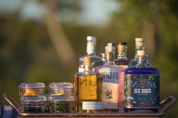 Eine Auswahl an Gin für einen Sundowner in der romantischsten Safari-Destination in Südafrika: Sabi Sands