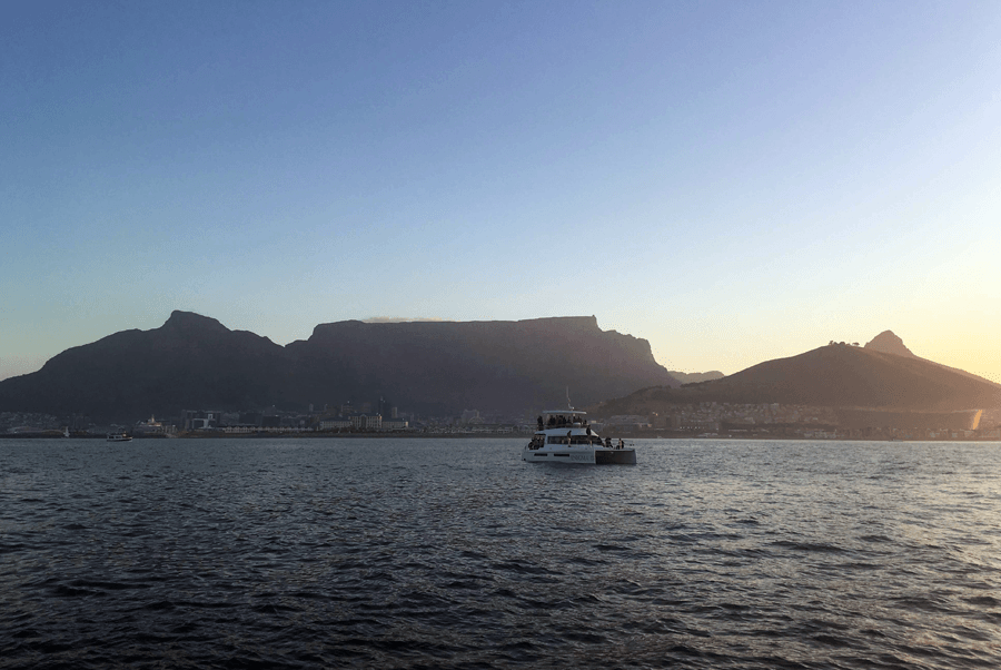 Cruzeiros ao pôr do sol em Table Bay proporcionam vistas arrebatadoras da Cidade do Cabo à distância e a chance de ver animais marinhos e aves diversas