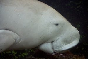 Seychelles Wildlife