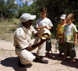 Die Elephant Plains Game Lodge bietet Safari-Aktivitäten wie Buschwanderungen für Kinder an