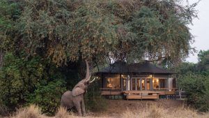 Mana Pools Properties