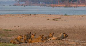 Zambezi National Park