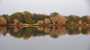 Zambezi National Park