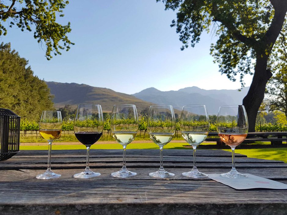 Dégustation de vin dans les vignobles du Cap