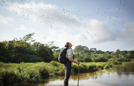 La naturaleza salvaje de los parques naturales del Congo. 