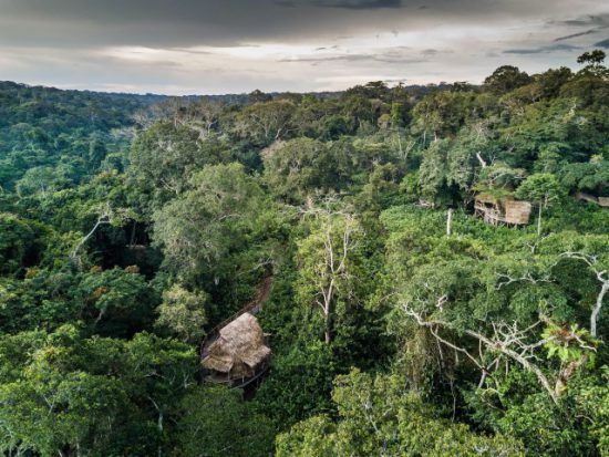 Das Ngaga Camp eingebettet in den Regenwald der Republik Kongo