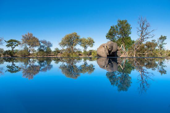 Timbavati | Kambaku River Sands