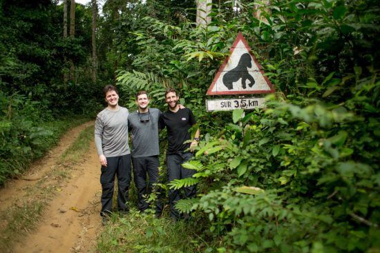 Drei Männer stehen vor einem Gorilla-Schild in der Republik Kongo