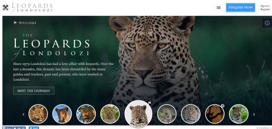 Screenshot der Leoparden-Webseite von Londolozi