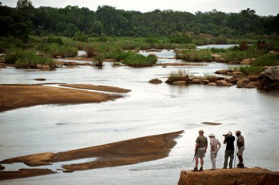 Buschwanderungen im Lion Sands Game Reserve: Gruppe an einem Flussufer