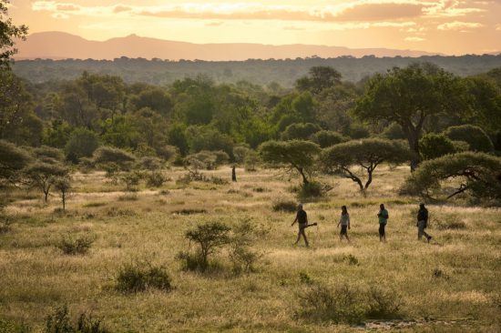 Safari en Afrique du Sud | Lions Sands