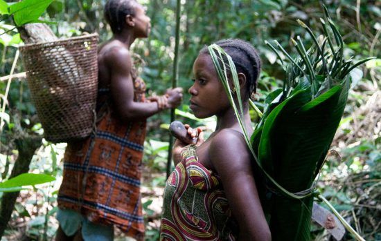 Bassin du Congo | Femmes pygmées