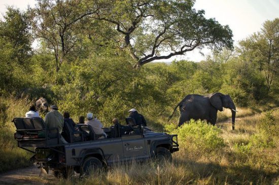 Les guides et pisteurs de Lion Sands | Des rencontres magiques sous le soleil d'Afrique