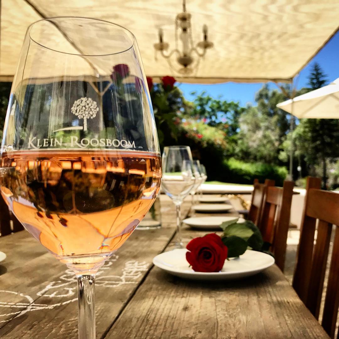 Disfrutando de un rosé en Klein Roosboom