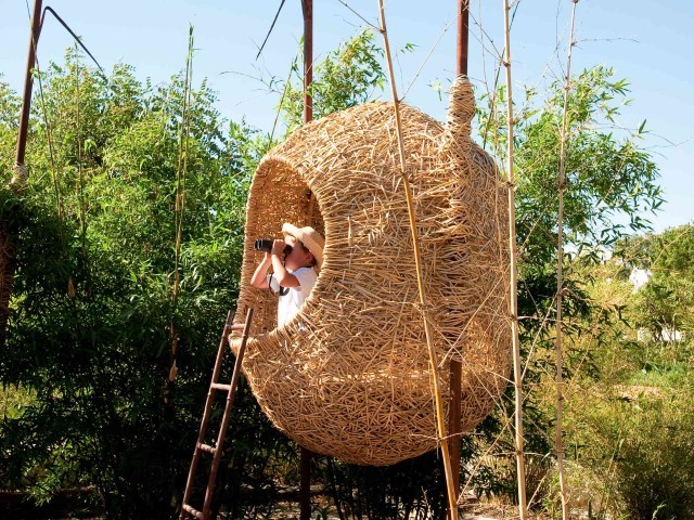 Ein Kind in einem geflochtenen Nest auf der Weinfarm Babylonstoren