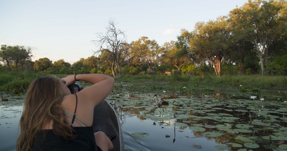 Elefanten in Botswana nähern sich einem Mokoro