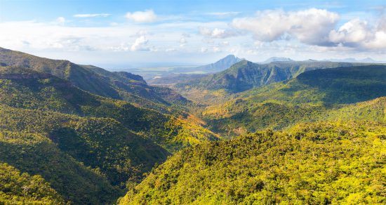 Black River Gorges National Park on the island of Mauritius