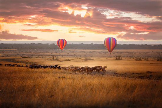 Zwei Heißluftballons schweben über einer Gnuherde in Afrika