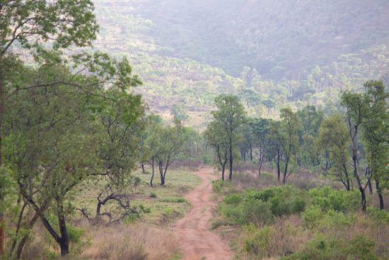 Die malerische Landschaft im Welgevonden Game Reserve