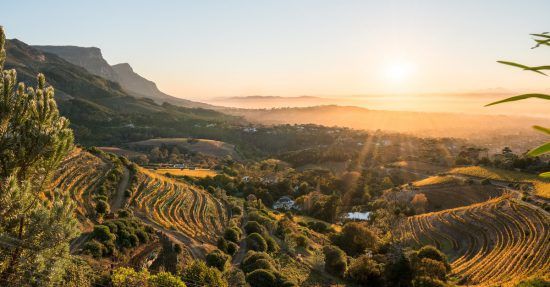 Cape Winelands in Cape Town, South Africa