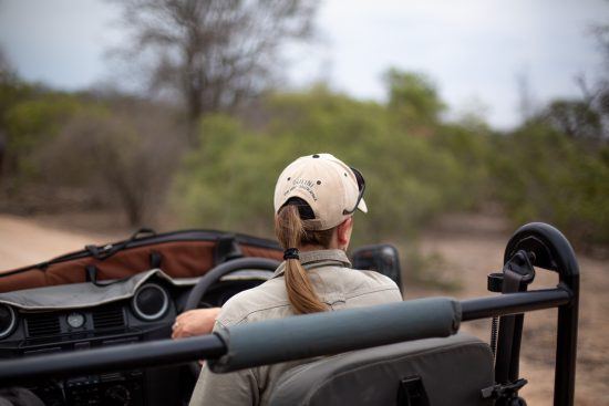 For Women's History Month we're focusing on the women in safari today.